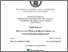 [thumbnail of Thesis Sara Karam.pdf]