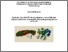 [thumbnail of Bianchi_Anna_Rita_27.pdf]