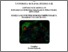 [thumbnail of Migliaccio_Nunzia_26.pdf]