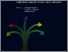 [thumbnail of migration_and_development_vol.pdf]