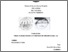 [thumbnail of DeStefano_Lorenzo_29.pdf]