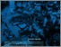 [thumbnail of apreda_carmela_30.pdf]