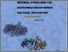 [thumbnail of Curci_Nicola_33.pdf]