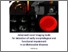 [thumbnail of Lembo_Maria_34.pdf]
