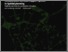 [thumbnail of somma_maria_34.pdf]