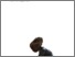 [thumbnail of Valentino_Vincenzo_34.pdf]