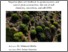 [thumbnail of Idbella_Mohamed_34.pdf]