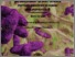 [thumbnail of Maria_DeLuca_34_PARZIALE.pdf]