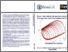 [thumbnail of vincenzo_dicapua_34.pdf]