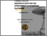 [thumbnail of Ilaria_Stanzione_34_ciclo_PARZIALE.pdf]