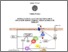 [thumbnail of Terlizzi_Cristina_34_PARZIALE.pdf]