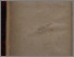 [thumbnail of Annuario Federico II 1880-1881_1.pdf]