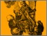 [thumbnail of VICECONTE San Emigdio]
