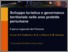 [thumbnail of Sviluppo turistico.pdf]