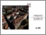 [thumbnail of Annuario 2020-2021.pdf]