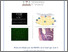 [thumbnail of DApice_Stefania_35.pdf]