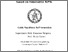 [thumbnail of Napolitano_Dell_Annunziata_Guido_35.pdf]