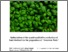[thumbnail of Ciriello_Michele_35.pdf]