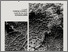 [thumbnail of SIU_atti INTERSEZIONI II_4-5_ISBN-DOI.pdf]