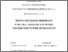 [thumbnail of Zingariello_Ingegneria_Elettrica.pdf]