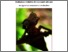 [thumbnail of Aprea_Biologia_Avanzata.pdf]