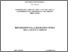 [thumbnail of Maione_Raffaele-tesi.pdf]