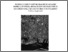[thumbnail of Tesi_di_dottorato_-_Giambanco_Francesca.pdf]