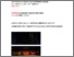 [thumbnail of Claudi_de_Saint_Mihiel.pdf]