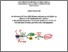 [thumbnail of Montariello_Daniela_26.pdf]