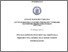 [thumbnail of TESI DEFINITIVA.pdf]