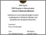 [thumbnail of Tesi Katia Maki Omura.pdf]