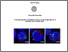 [thumbnail of Spaziano_Alessandra_36_PARZIALE.pdf]